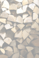 holz